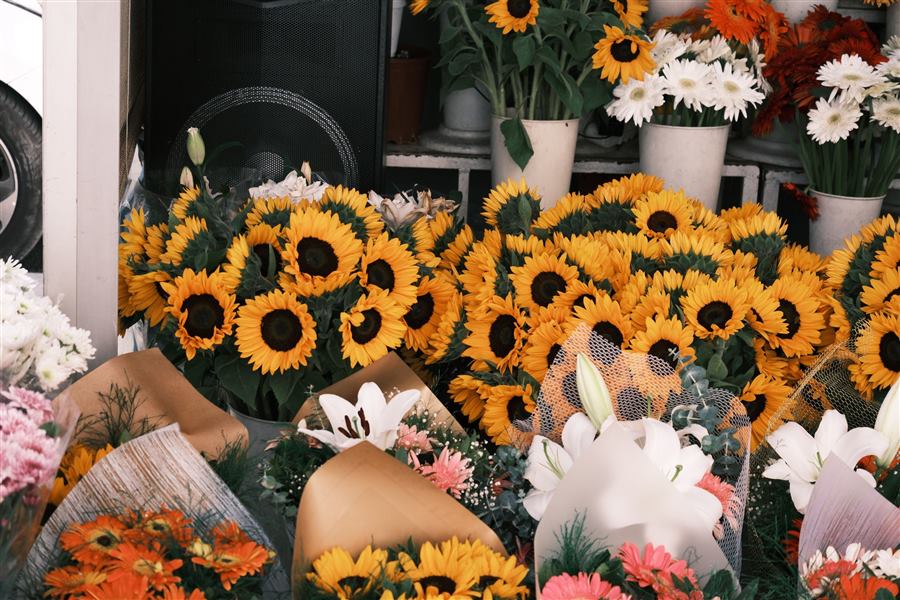 A flower shop display of sunflowers, lilies and gerberas in wrapped bouquets