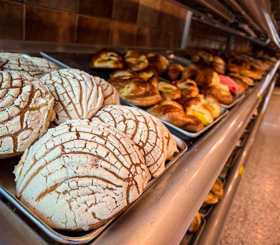 Fresh conchas and pastries on trays in a bakery